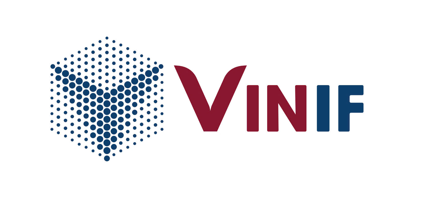 VINGROUP INNOVATION FOUNDATION - VINIF